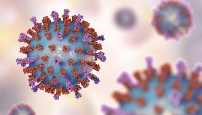 Respiratory Syncyctial Virus (RSV)